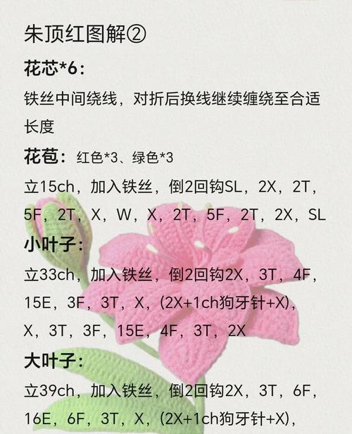 朱顶红都花语有何深意？它象征着什么？