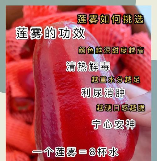 莲雾的花语是什么？它在文化中有哪些含义？