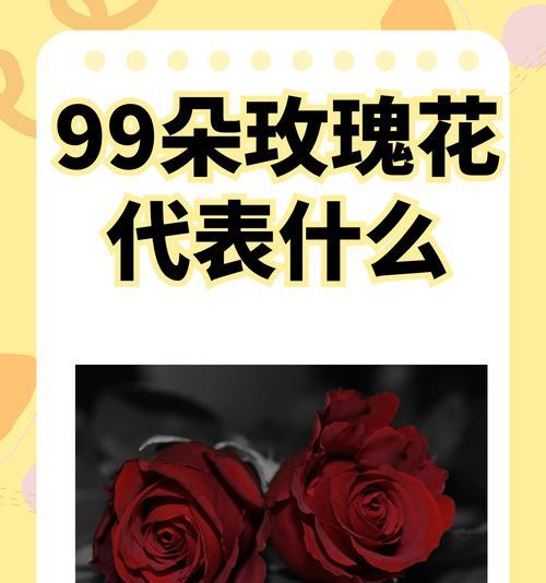 传说中的美好花语有哪些？它们代表什么？