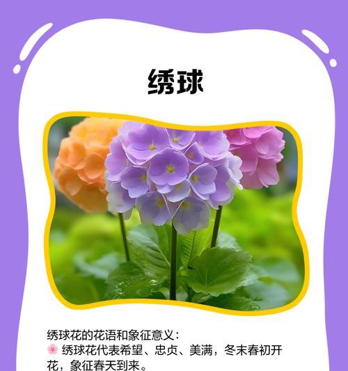 植物花语中哪些代表父爱？如何表达对父亲的爱？