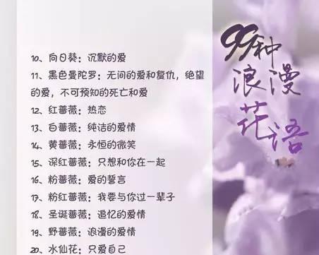 国际花语大全包含哪些内容？如何查找特定花语？