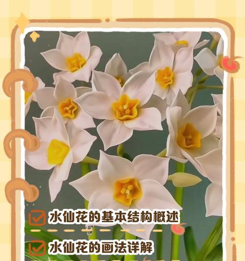 水仙花语大全是什么？水仙在文化中象征什么？