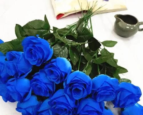 黄花新月花语是什么？它代表了哪些含义？
