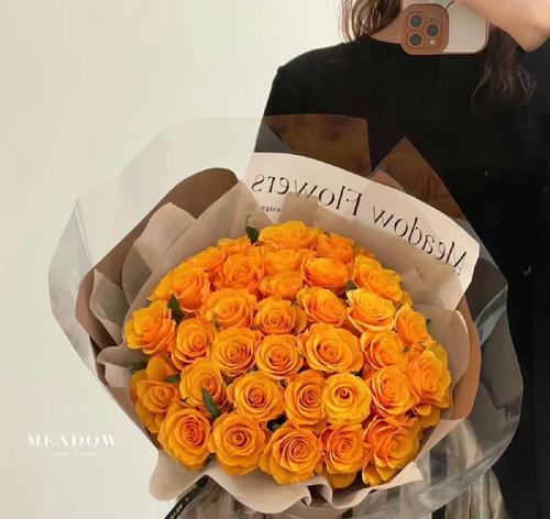 玫瑰辉煌花语是什么？它如何表达爱的辉煌？