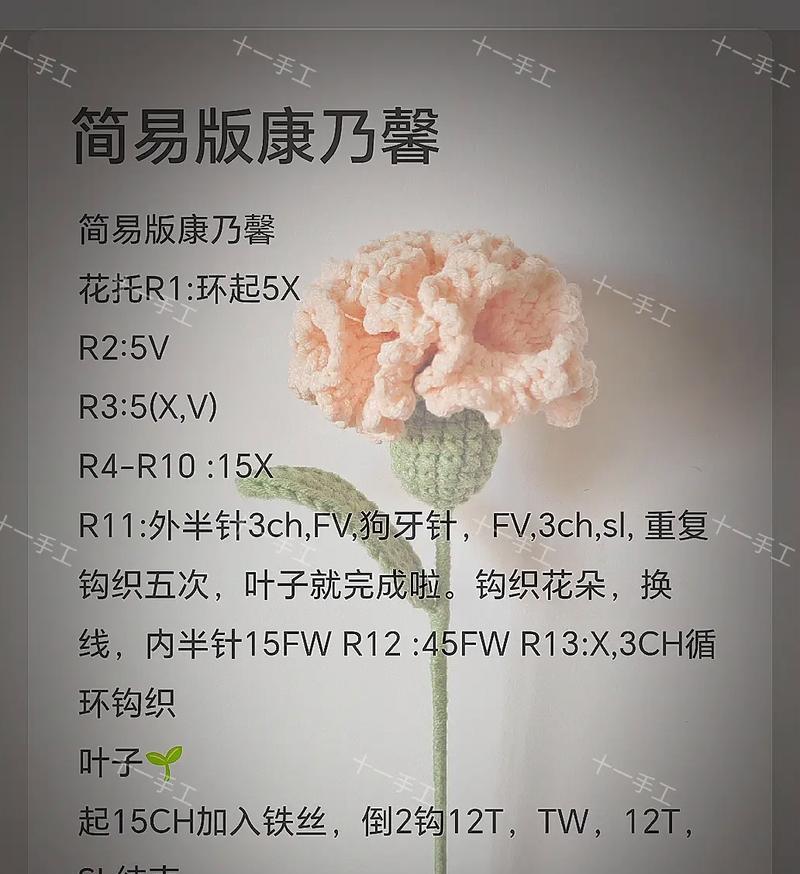 如何搜索花之花语？花语搜索有哪些技巧？