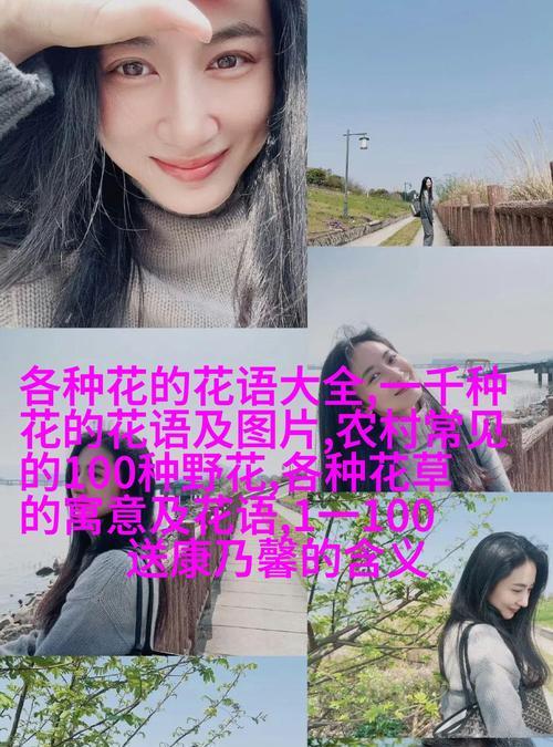 花语单纯的话有哪些？它们如何表达简单的情感？