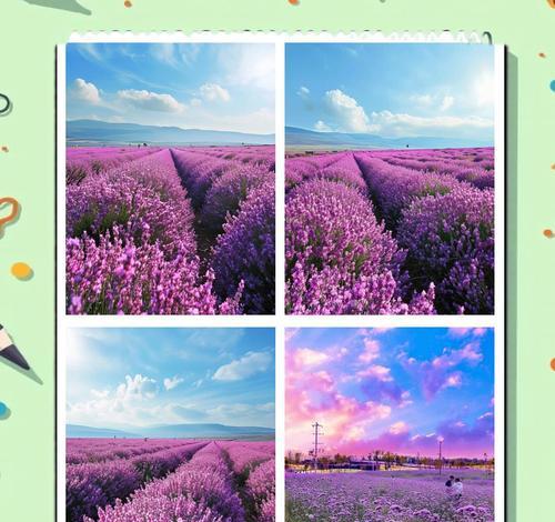 点薰衣草花语是什么？它在香气中传递了哪些信息？