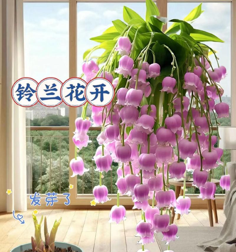 铃兰的花语是什么？它在花语中代表了什么？