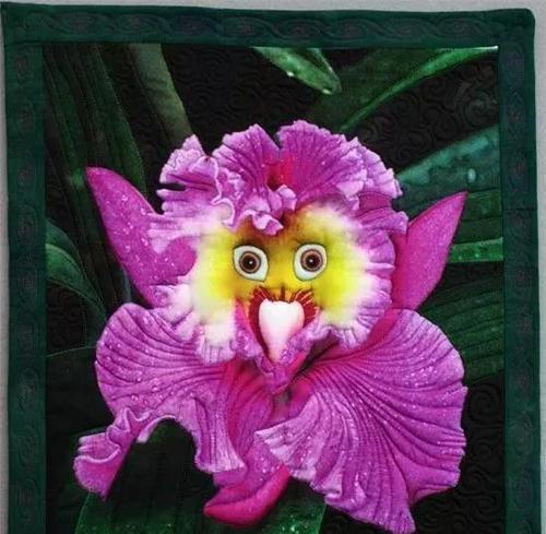 粉色芭蕉花语有何特别之处？它象征着什么？