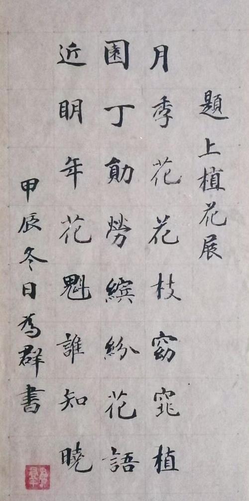 雪季花语有哪些？它们在花语中代表了什么？