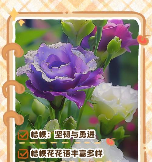 哪种花语代表平安？它在花语中有什么意义？