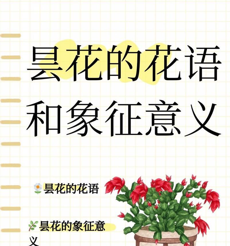 哪种花语代表平安？它在花语中有什么意义？