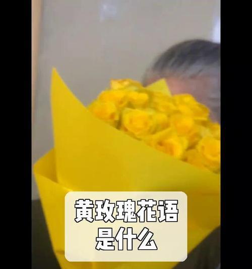 黄玫瑰的花语代表了什么？