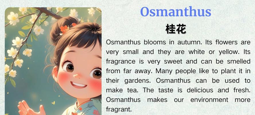 日本桂花的花语是什么？如何表达爱意？