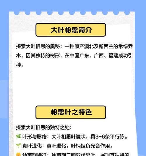 大叶相思的花语是什么？大叶相思的寓意有哪些？