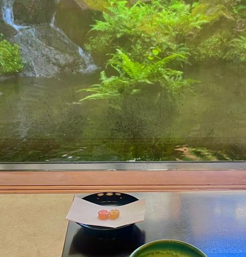 海石榴的花语是什么？海石榴的寓意有哪些？