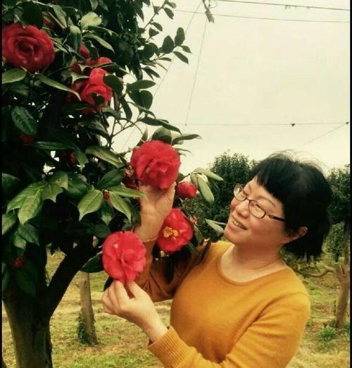 海石榴的花语是什么？海石榴的寓意有哪些？