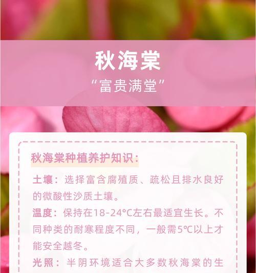 秋之花语内容有哪些？秋天的花语代表什么意义？