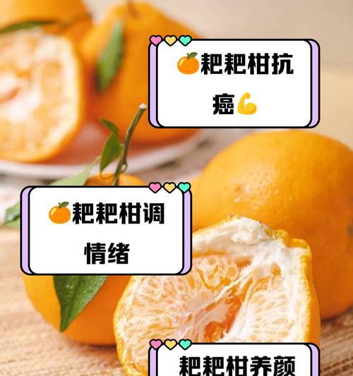 杨柑橘的花语有何特别之处？杨柑橘的花语代表什么？