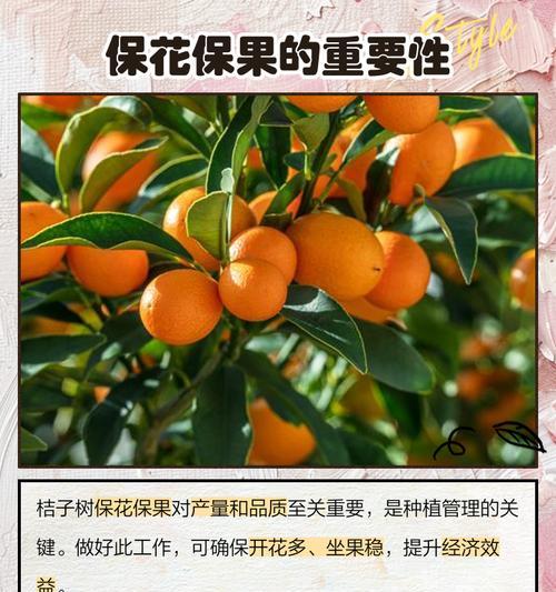 柑子花的花语代表什么含义？
