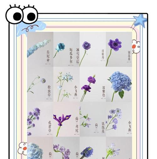复古绣球花的花语有哪些含义？