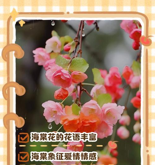 如何用花语表达美丽动人？