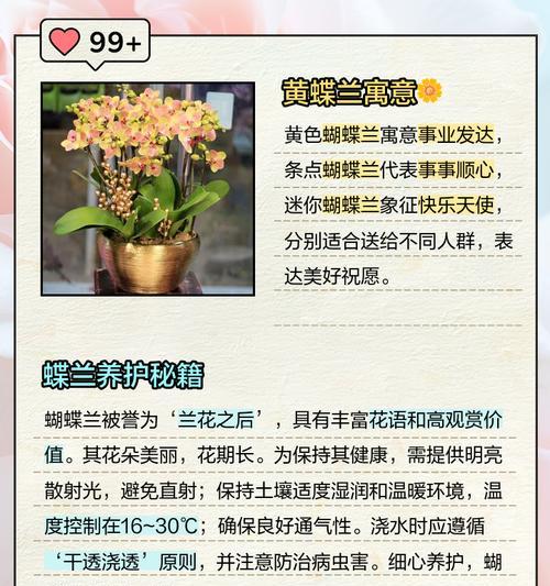 如何用花语表达美丽动人？