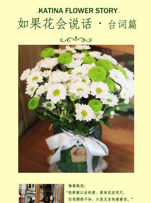 杨雏菊的花语有何深意？如何挑选杨雏菊？