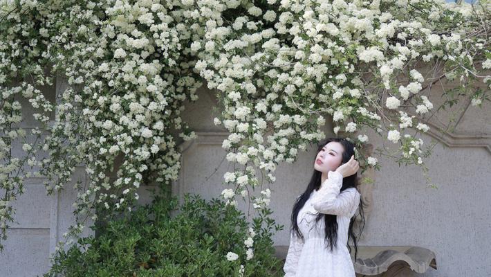 穗子花的花语含义是什么？如何用穗子花装饰家居？