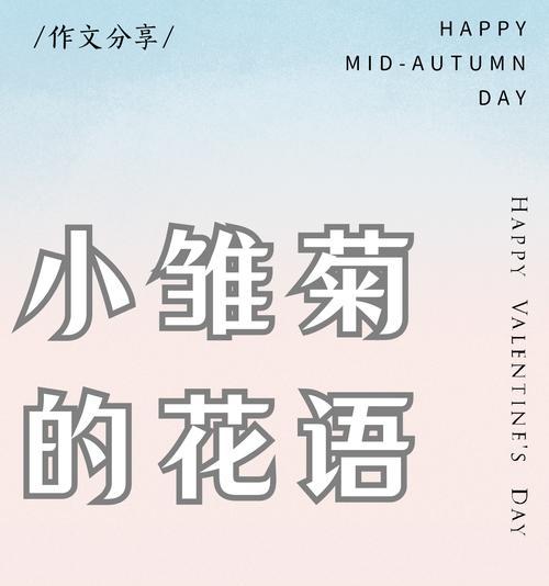 混合雏菊花语是什么？如何搭配不同雏菊表达情感？