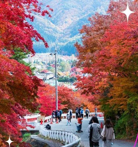 红叶祭的花语有何特别之处？如何在红叶祭中使用花卉？