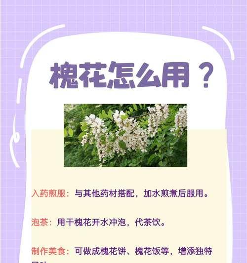 槐花的花语是什么？了解槐花背后的文化含义？