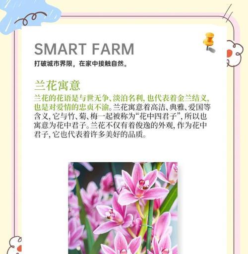 兰花的解花语是什么？兰花的花语有哪些含义？