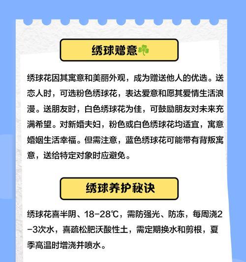 法国绣球花语是什么？法国绣球代表了哪些意义？