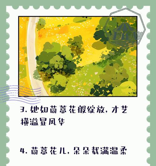 茼蒿花的花语是什么？茼蒿花象征着什么？