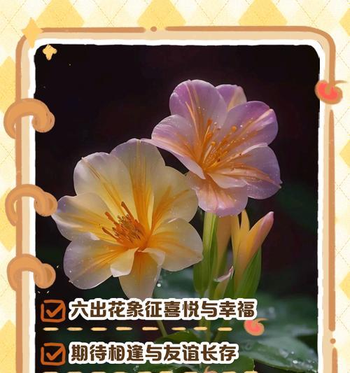 打结花的花语是什么？打结花代表了哪些情感？