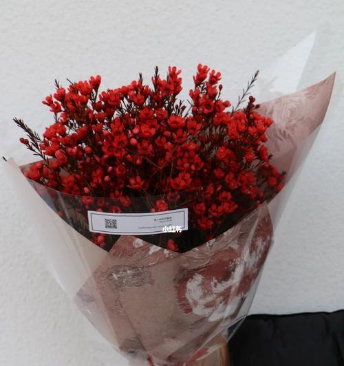 腊梅红色花语是什么？腊梅红色代表了哪些意义？