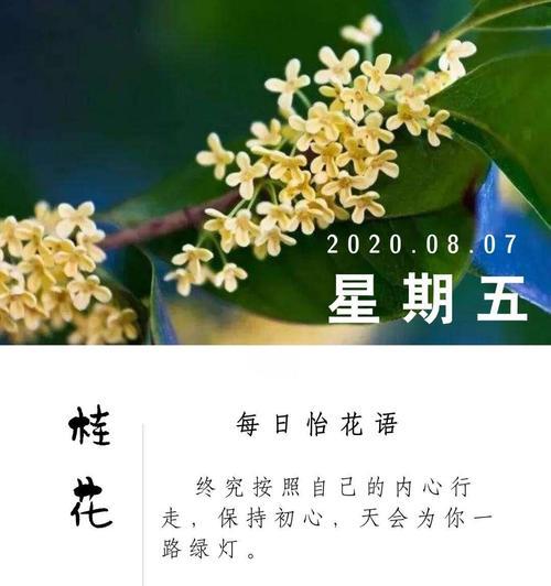 桂花花语思念代表什么？如何用桂花表达思念之情？