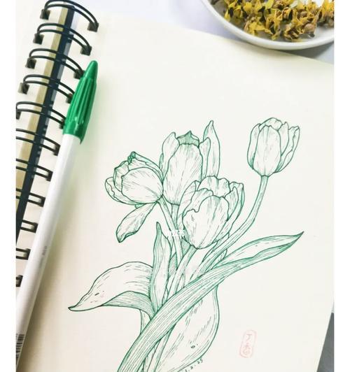 郁香花的花语是什么？郁香花在花语中象征着什么？