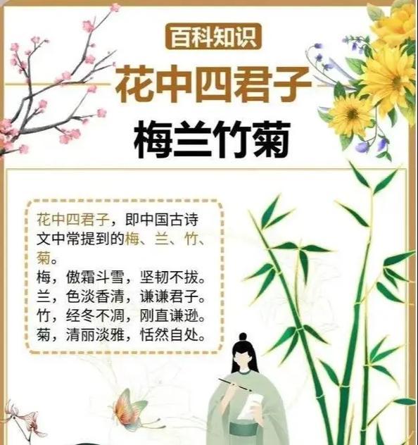 梅花语的下联是什么？如何对出梅花的花语下联？