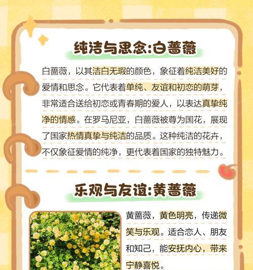 干枯蔷薇花语有何深意？干枯蔷薇在花语中代表什么？