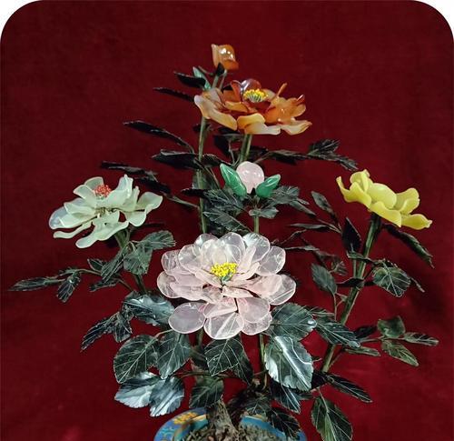 月季花语有哪些？不同颜色月季代表什么意义？
