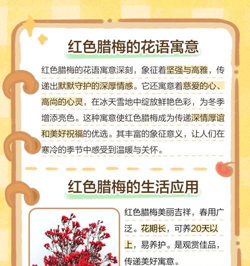 腊梅花语代表了什么精神？如何理解腊梅的花语？