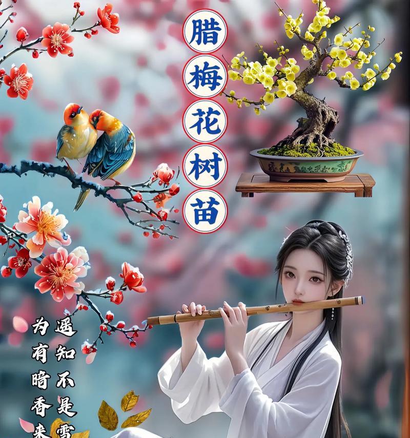 腊梅花语代表了什么精神？如何理解腊梅的花语？
