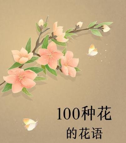 金铁锁花语有何深意？它传递了哪些信息？