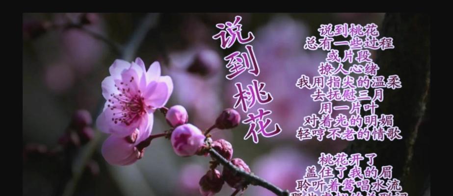桃花花语代表繁荣吗？它有哪些含义？