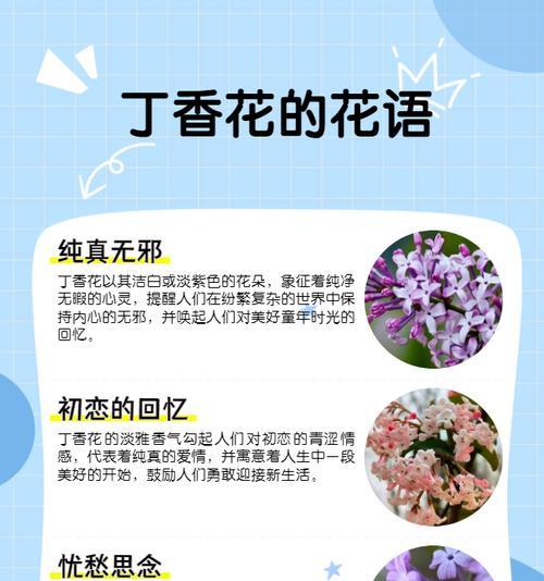 姬珊瑚花语是什么？它象征着什么？