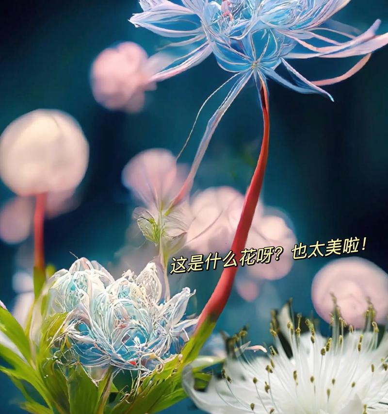 花语石的来历是什么？花语石的传说有哪些？