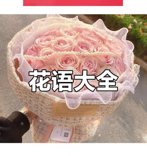 哪些花的花语比较特殊？特殊花语的花有哪些？