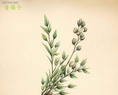 指大蓟的花语是什么？指大蓟的寓意有何深意？